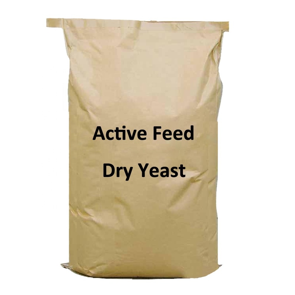 Ale Yeast Dried Brewer Yeast for Livestock Feeding Powder Choose Our Animal Feed Yeast Free Cattle Feed Dry Cool Storage 2 Year