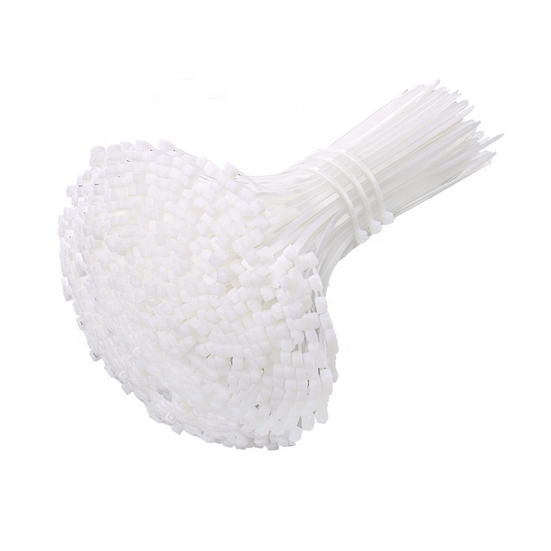 Wholesale cheap price flexibility Nylon 6 and Nylon 66 material Plastic Cable Tie