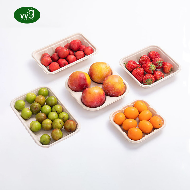 VVG disposable sushi tray biodegradable sugarcane pulp eco friendly disposable paper food snack papere tray