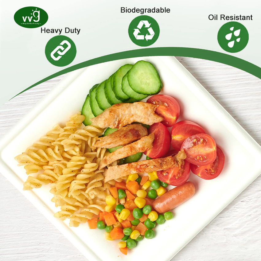 VVG no add pfas 6 8 10 inch compostable bio degradable sugarcane bagasse pulp paper white disposable square plates