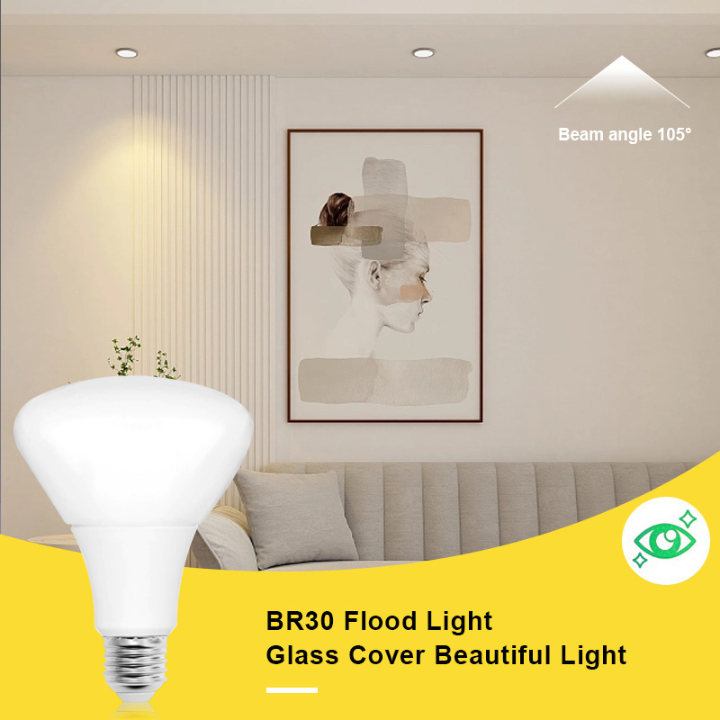 BR30 Flood 65W 9W 120V Dimmable UL ETL listed LED BULB Light