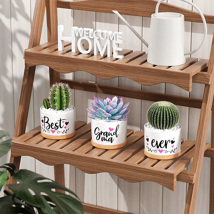 Best Grandma Ever Succulent Pots for Plants Indoor Ceramic Planter, Gift Boxed Grandma Christmas Grandparents Day Gifts