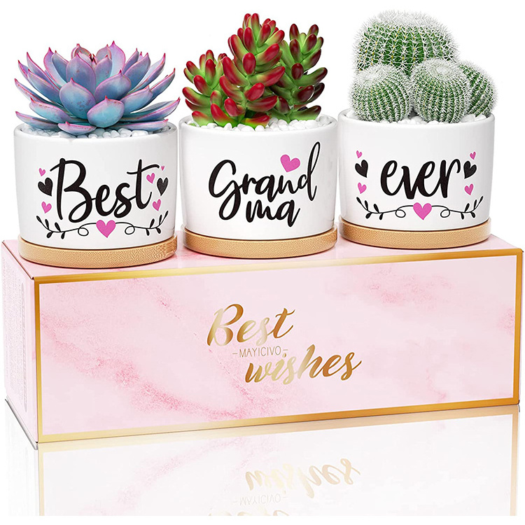 Best Grandma Ever Succulent Pots for Plants Indoor Ceramic Planter, Gift Boxed Grandma Christmas Grandparents Day Gifts