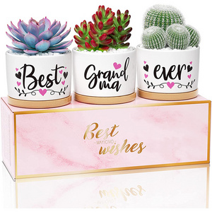 Best Grandma Ever Succulent Pots for Plants Indoor Ceramic Planter, Gift Boxed Grandma Christmas Grandparents Day Gifts