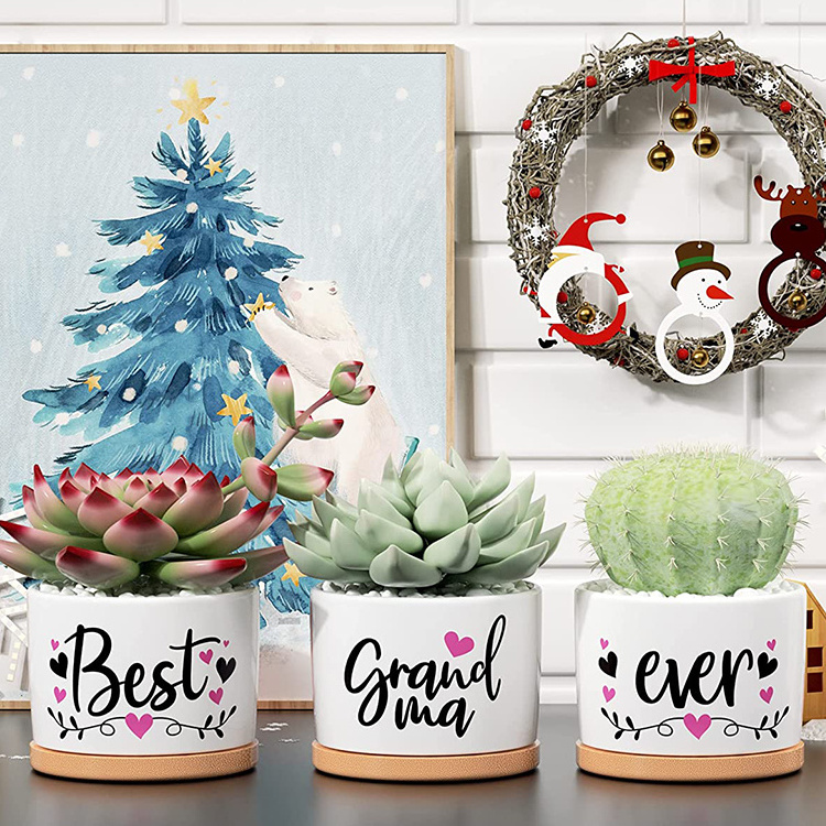 Best Grandma Ever Succulent Pots for Plants Indoor Ceramic Planter, Gift Boxed Grandma Christmas Grandparents Day Gifts