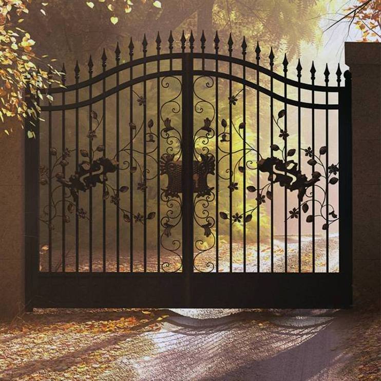 ABYAT Latest Main Metal Gate Designs Iron Gate Design For Small House