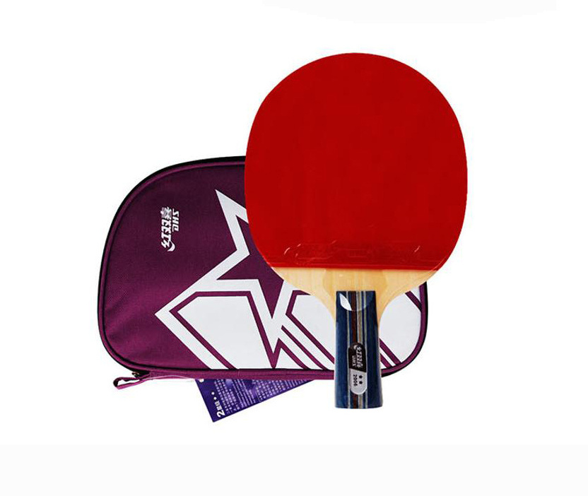 Trail order low MOQ Cheap DHS Double Happiness 2002 2 Star with case  Table Tennis Racket