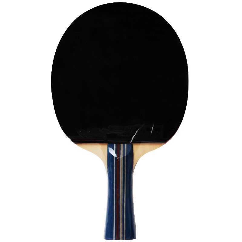 Trail order low MOQ Cheap DHS Double Happiness 2002 2 Star with case  Table Tennis Racket