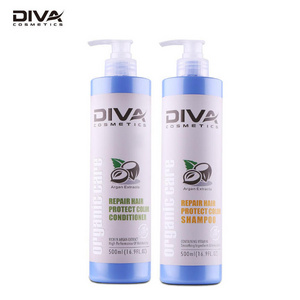 Diva Brand Recovery Moisture Repair Hair Protect Color Shampoo for Dry Damaged Hair