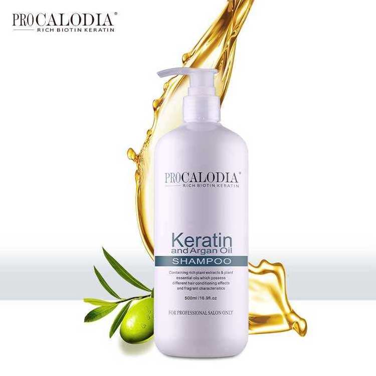 ProCalodia Brand OEM  Professional 500ml Recovery Moisture Scalp Soothing Argan Oil Spa Shampoo