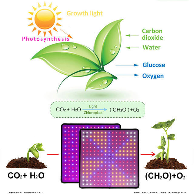 1000W LED Grow Light Panel Full Spectrum Phyto Lamp AC85-240V EU/US Plug For Indoor Grow Tent Plants Growth Light