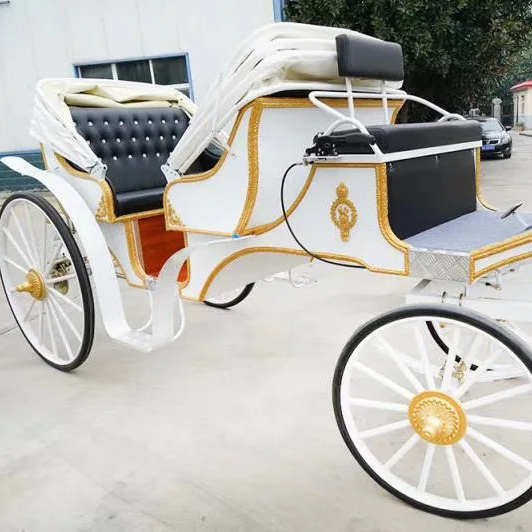 cinderella horse carriage for sale  working in the amusement park and tourist resorts