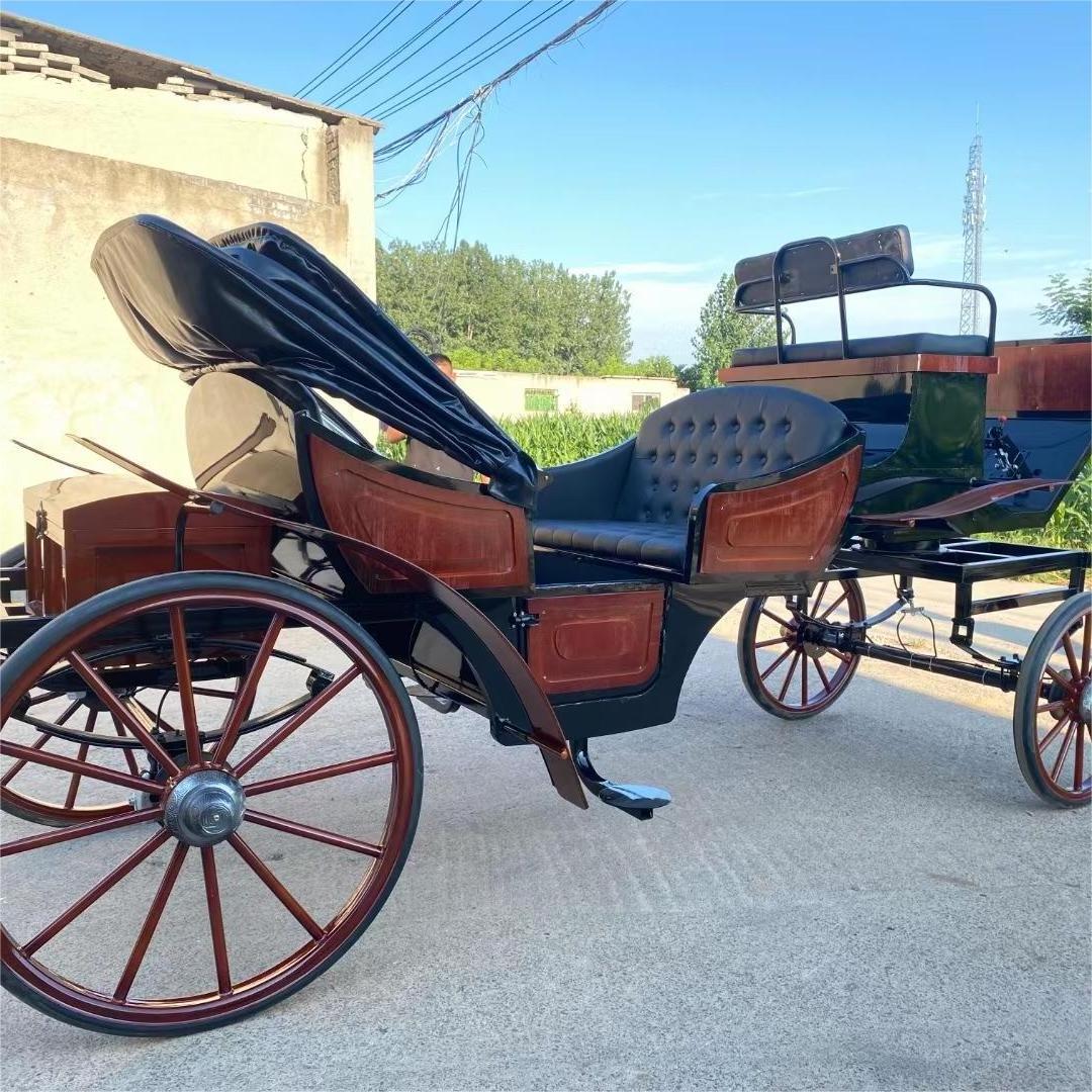 Amusement park facilities cinderella horse carriage for sale  working in the amusement park and tourist resorts