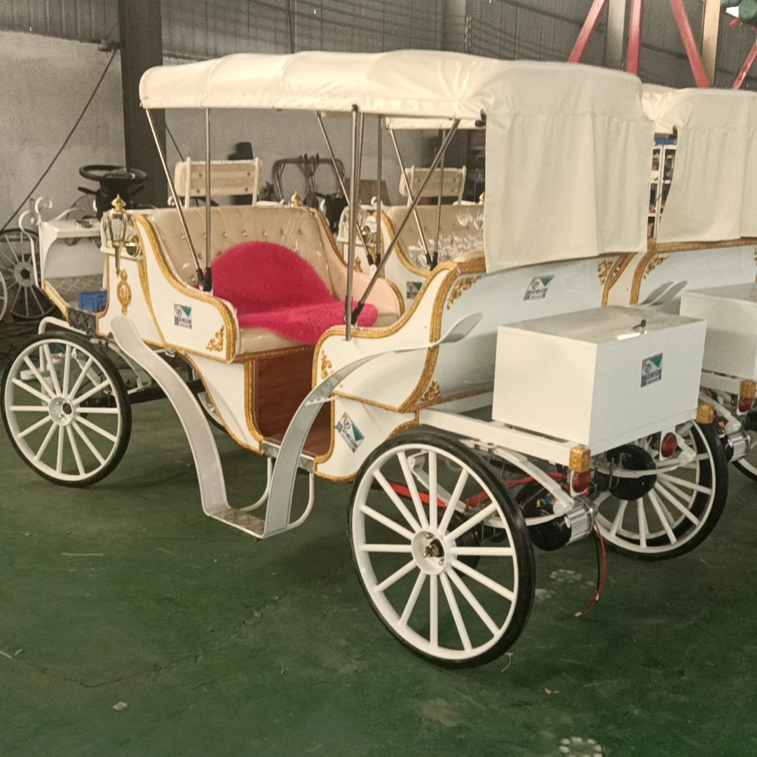 cinderella horse carriage for sale  working in the amusement park and tourist resorts