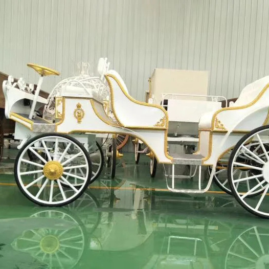 cinderella horse carriage for sale  working in the amusement park and tourist resorts