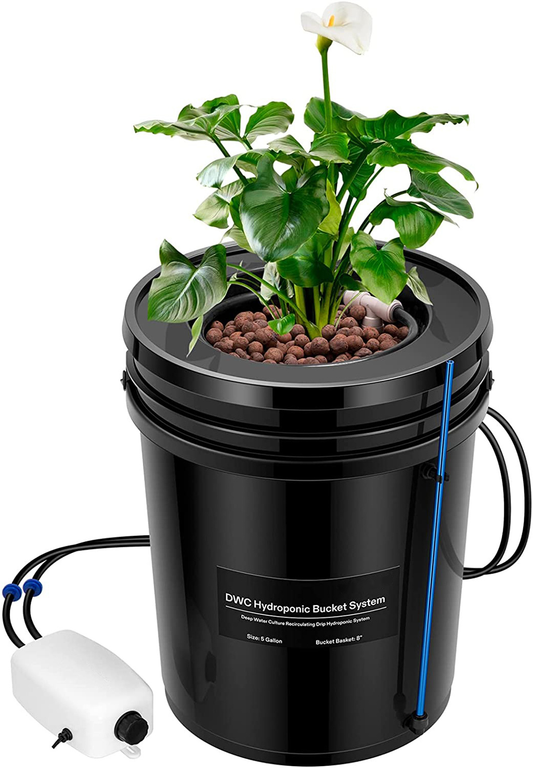 Hydroponic Bucket System Recirculating Top Feed Drip Hydroponics Growing System 5 Gallon Deep Water Culture Bucket System Kit