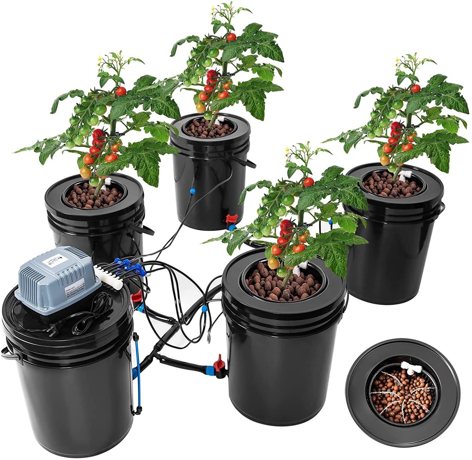 Hydroponic Bucket System Recirculating Top Feed Drip Hydroponics Growing System 5 Gallon Deep Water Culture Bucket System Kit