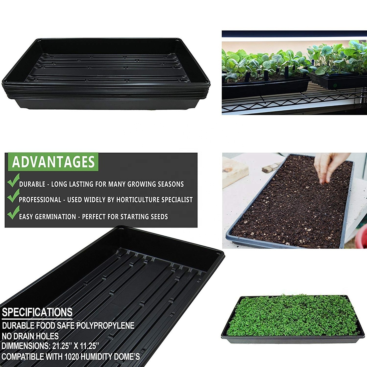 CHIN UP plants paper barley grow hydroponic float germination seed propagation tray