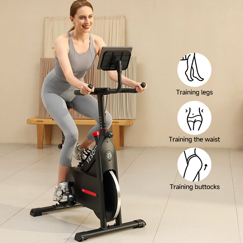 Lightweight Indoor Fitness Bariatric Equipment Home Silent Cycling Spinning Gym Exercise Spin Bike