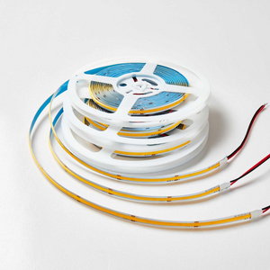 Wholesale Custom Ip68 Ip67 Waterproof Rgbw Rgb 3mm 5mm 8mm 10mm Cob Led Strip Dc 5V 12v 24v Ac 220V Led Strip Light