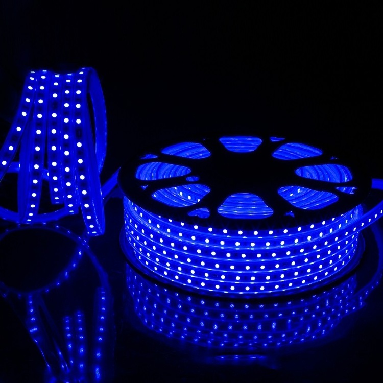 5 10 30 50 100 meter 5V 12V 24V 220V Custom Running flexible Rgb RGBW Smd 5050 ws2812 ws2811 2835 ws2812b led strip light