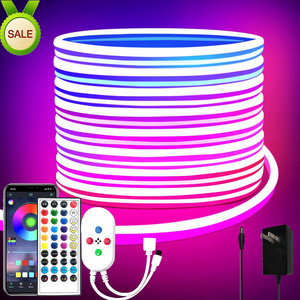 Hot Sale 1 Cm Cut 5M 10M 50M 100M Ip67 RGB Rgbic Silicone Led Neon Light Strip 12V 24V 220V Flexible Soft Led Neon Flex