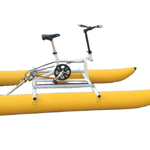 Water pedal bicycle  Water Play Equipment LLDPE  Dolphin water  Pedal   bicycle Powerful  Bike pedal boat wit