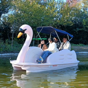 Two four seater Person Pedal Fiberglass Swan Boat