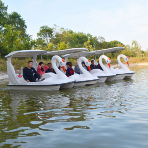 2 seats and 4 seats used duck swan pedal boat for sale