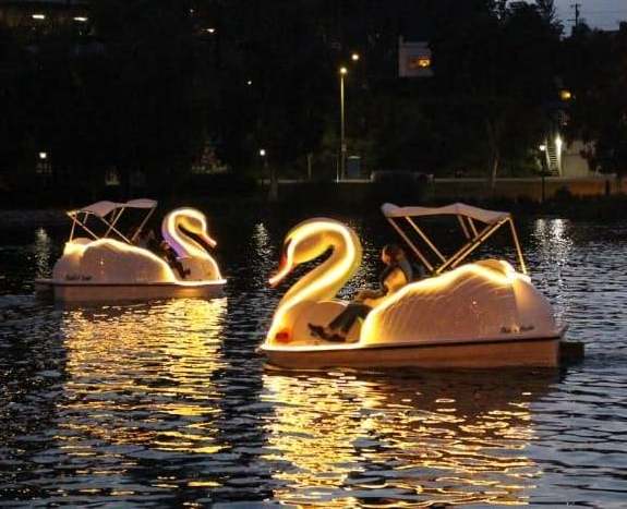 Water amusement park equipment 2 seats 4 seats used duck swan pedal boat for sale