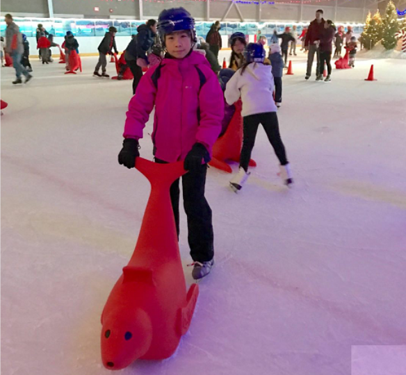 2023 Ice Skating Aids For Kids Learning Ice Rink Equipment Safety ice skate helper  auxiliary toy dolphin for  riding