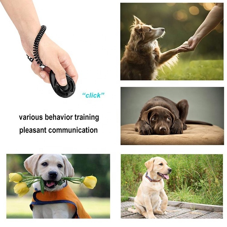 Portable Pets Training Clicker Animal Behavior Aids Diet Button Trainer Professional Indoor Outdoor Pet Dog Training Supplies