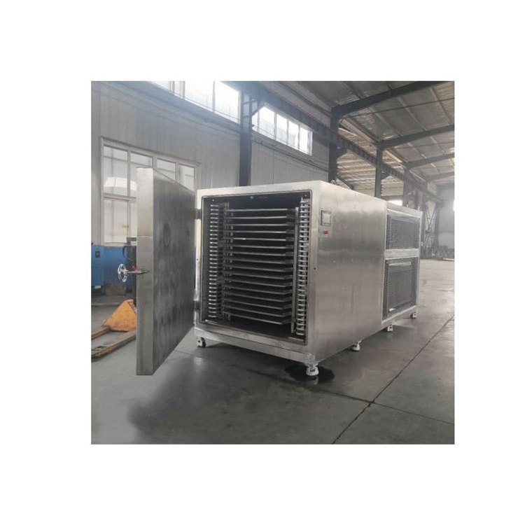 2022 Hot Sale Freeze Drying Machine Sublimation Condensation Dryer for sale