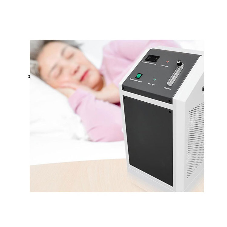 1L 2L 3L 5L 6L 8L 10L 15L 20L 120L customized size PSA oxygen concentrator and oxygen generator high quality CE ISO approve