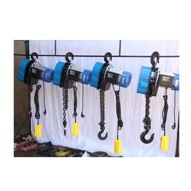 Good quality 3-phase chain motor electrical 0.75t 1.5t 3t 6t 9t  car crane mini electrical hoist gantry crane chain for lifting