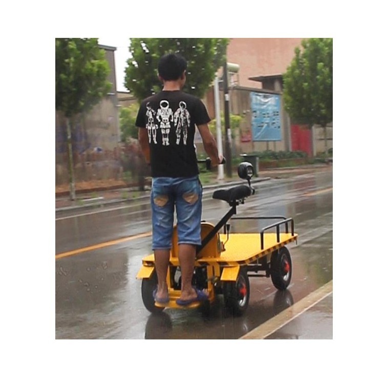 high load flatbed trolley/Garden tool cart electric flat transport vehicle used golf cart rear seat electric cargo trolley