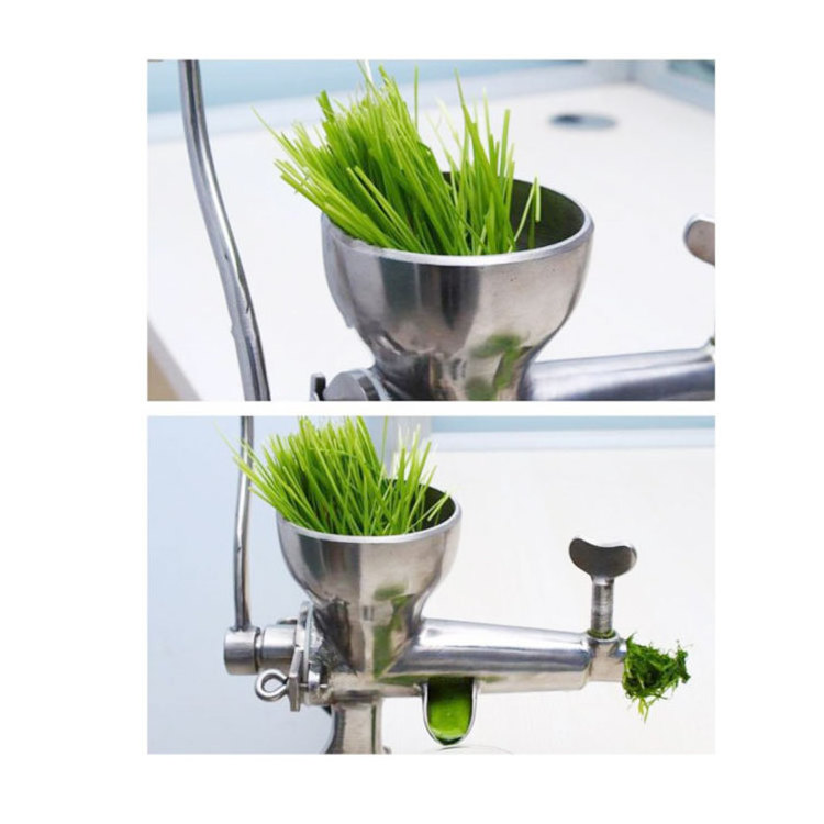 manual press hand press machine fruit wheatgrass juicer for lemon juicer fruit juicer