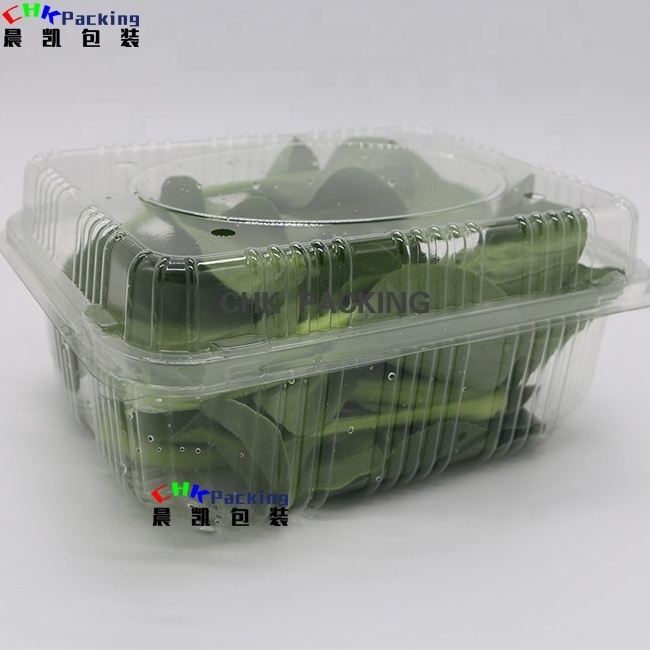 Pet Fresh Fruitsalad Lettuce Cherry Tomato Clam Shell Tray Boxes Transparent Fruit Food Disposable Stamping Accept