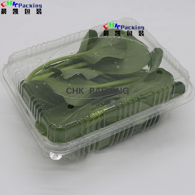 Pet Fresh Fruitsalad Lettuce Cherry Tomato Clam Shell Tray Boxes Transparent Fruit Food Disposable Stamping Accept