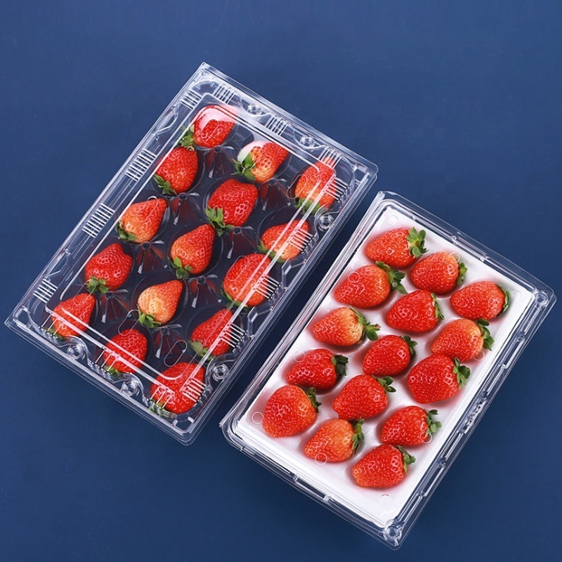 Disposable transparent clamshell blister strawberry plastic boxes pet fruit packaging Punnet containers