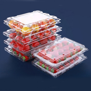 Disposable transparent clamshell blister strawberry plastic boxes pet fruit packaging Punnet containers