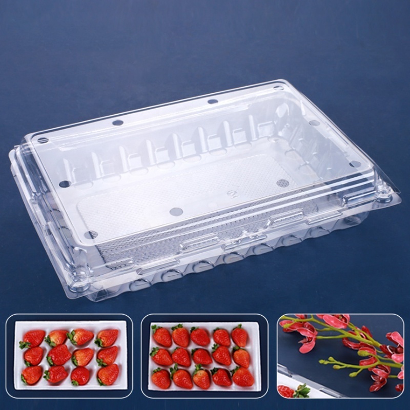 Disposable transparent clamshell blister strawberry plastic boxes pet fruit packaging Punnet containers