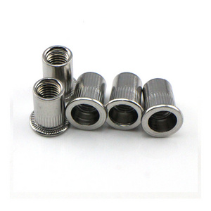 SS 304 Flat Head Rivet Nut Metric Thread Flat Head Galvanized Knurled Rivet Nuts Riveted Nut