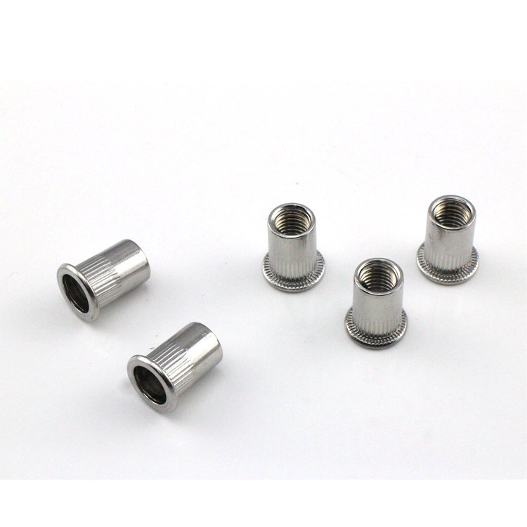 SS 304 Flat Head Rivet Nut Metric Thread Flat Head Galvanized Knurled Rivet Nuts Riveted Nut