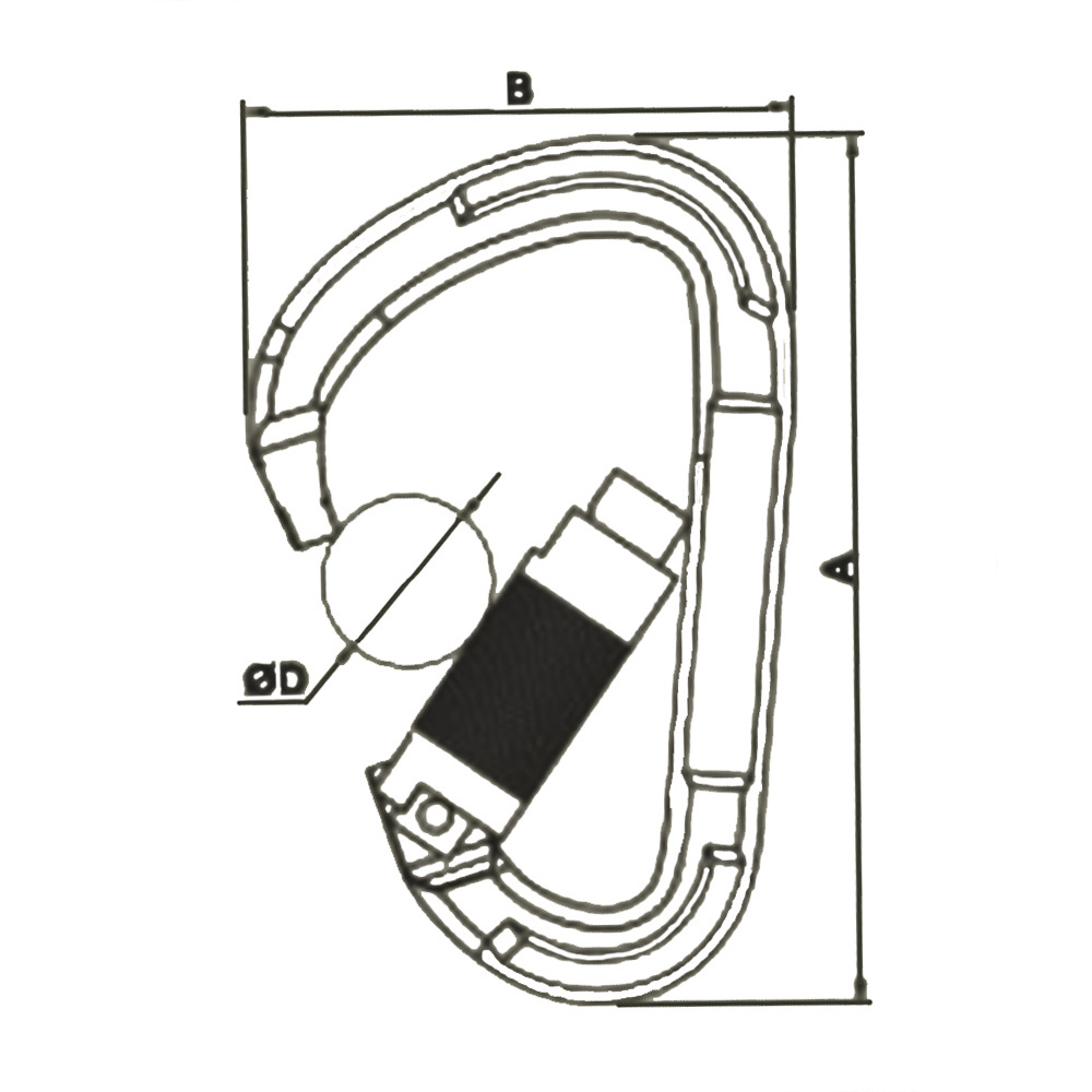 High Tensile Aluminum Ally Climbing Carabiner Hook with Autolock China Supplier