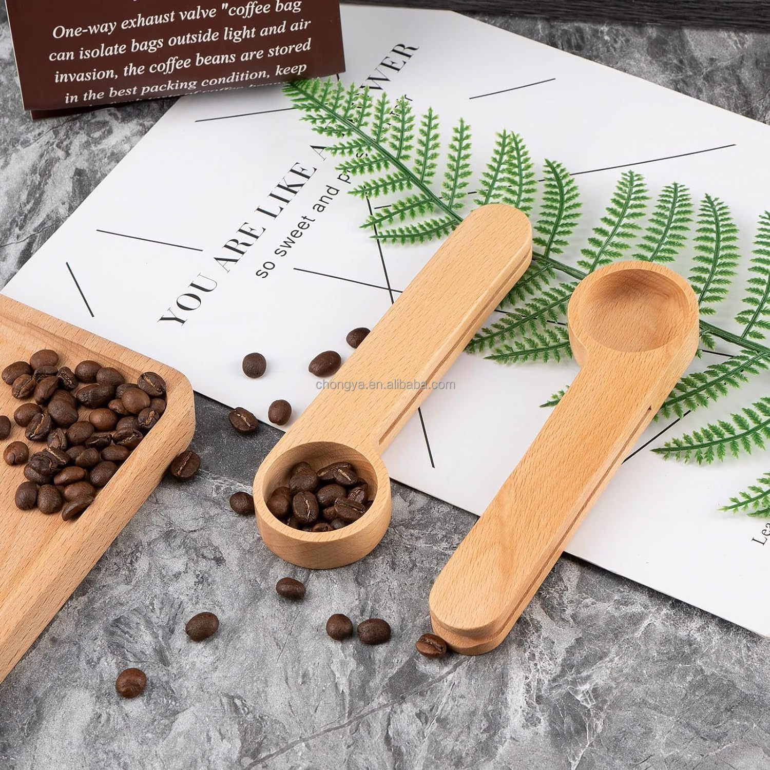 Natural Beech Wood Spoon 2-In-1 Bags Measuring Spoon Wood Coffee Scoop with Bag Clip with Good Quality for Kitchen