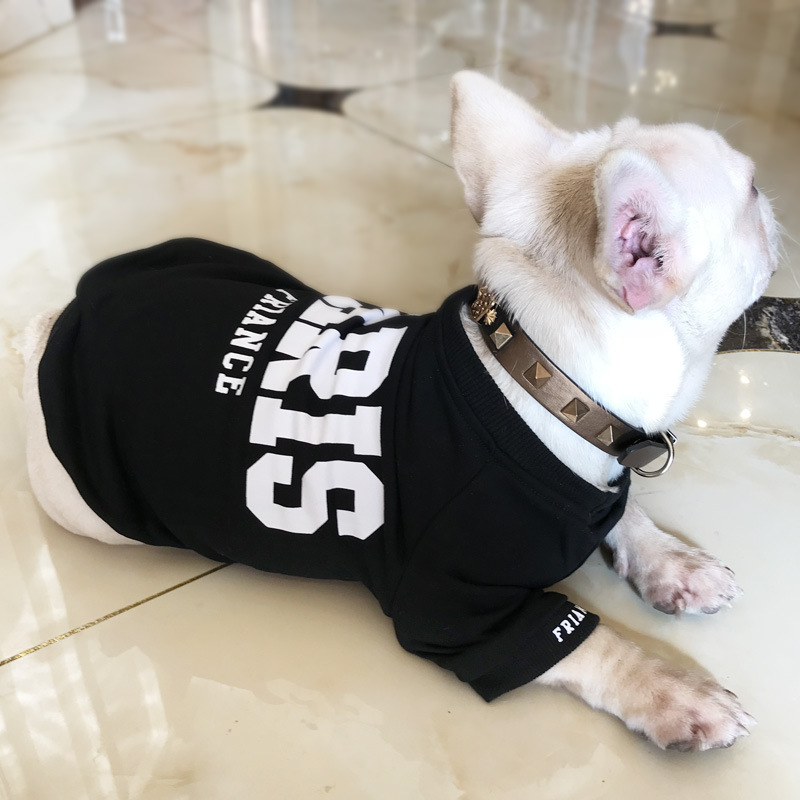 2022 new spring and autumn terry cotton printed letter sweater small dog pet parent-child sweater suit