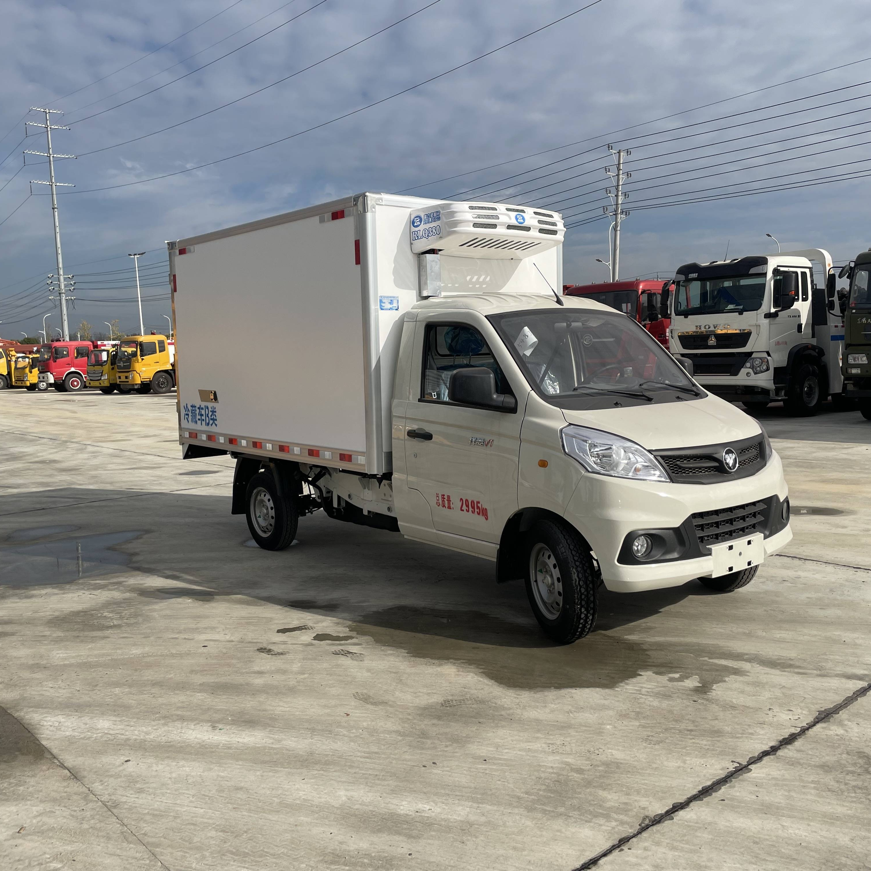 FOTON mini  freezer truck ice cream delivery truck refrigerated truck