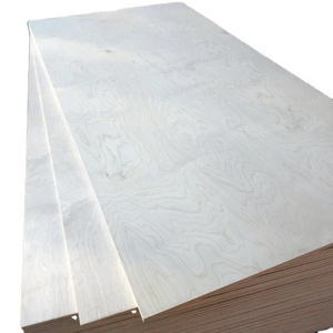 Linyi factory birch faced plywood 3-28mm poplar/eucalyptus core plywood uv coading plywood for furniture/construction