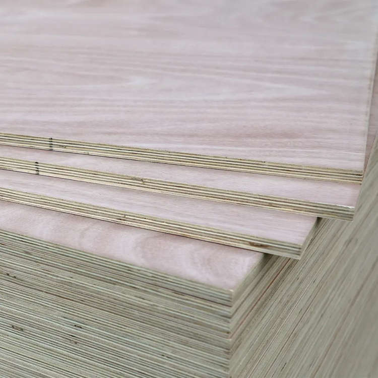 Linyi factory birch faced plywood 3-28mm poplar/eucalyptus core plywood uv coading plywood for furniture/construction